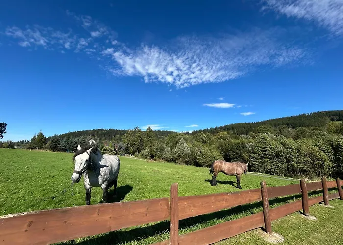 Na Bani W Starej Morawie *